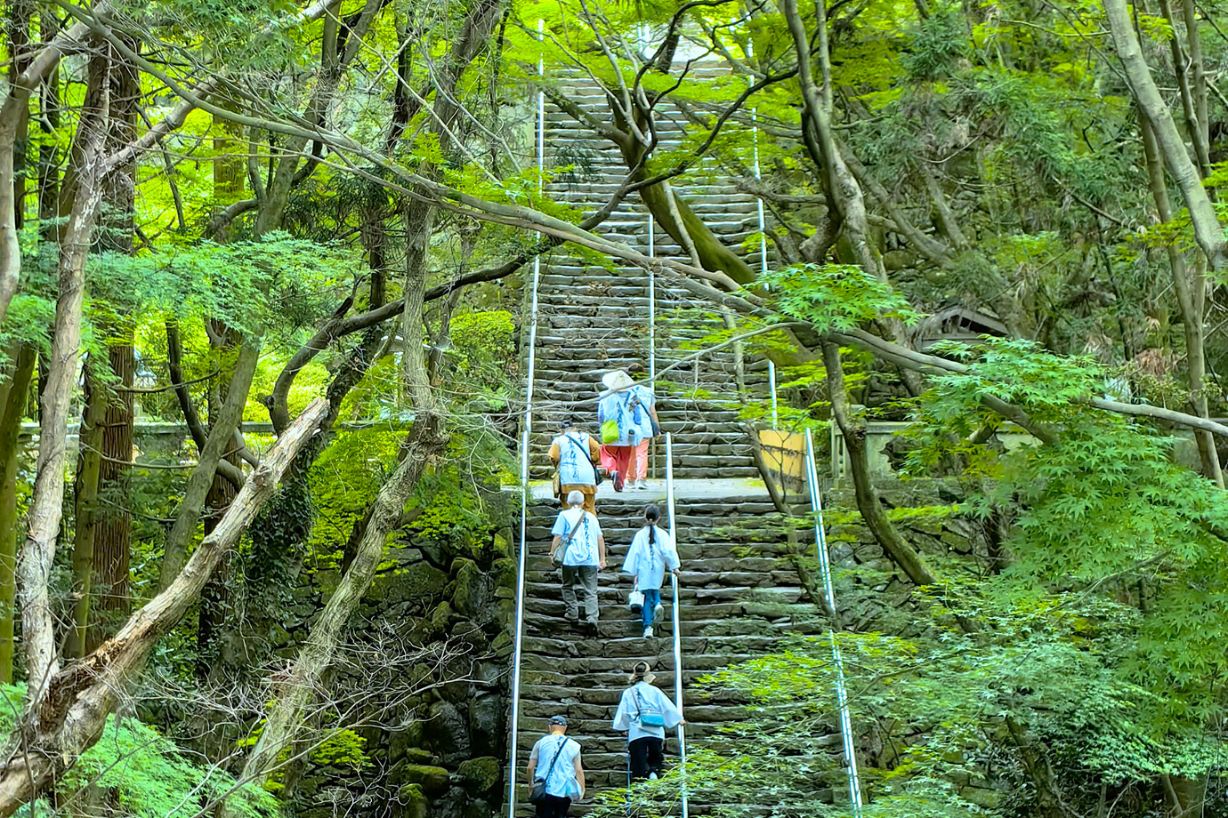 四國遍路-青峰山根香寺